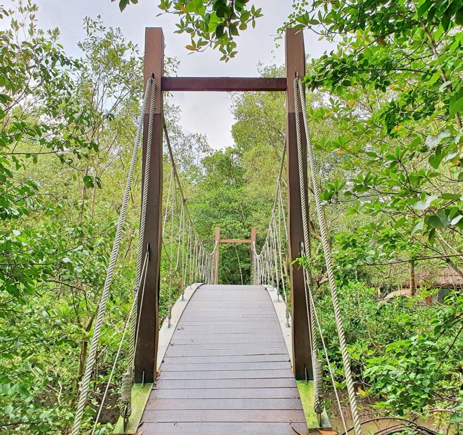 Khu Dự Trữ Sinh Quyển Vàm Sát Cần Giờ | Tour Du Lịch TP. Hồ Chí Minh, 700000 Hình Thực Tế | Greenmilestravel.com khu-du-tru-sinh-quyen-rung ngap-man-can-gio
