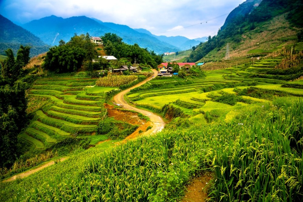 Tour du lịch miền Bắc 5 ngày 4 đêm | Hà Nội - Lào Cai - Ninh Bình - Quảng Ninh Bản Cát Cát | Greenmilestravel.com tour-du-lich-mien-bac-5-ngay-4-dem-ha-noi-lao-cai-ninh-binh-quang-ninh-ban-cat-cat