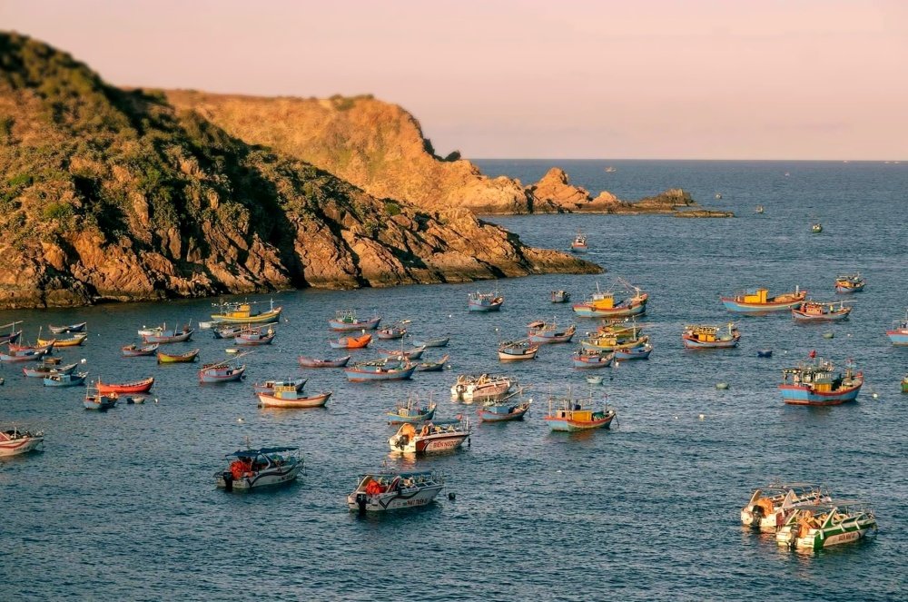 Tour Du Lịch Miền Trung 3 Ngày 2 Đêm | Quy Nhơn - Phú Yên Bãi Biển | Greenmilestravel.com tou-du-lich-mien-trung-3-ngay-2-dem-quy-nhon-phu-yen-lang-chai-nhon-ly