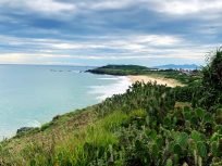 tour-du-lich-phu-yen-1-ngay-hoa-vang-co-xanh-bai-xep-ghenh-ong