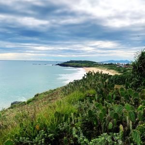 tour-du-lich-phu-yen-1-ngay-hoa-vang-co-xanh-bai-xep-ghenh-ong
