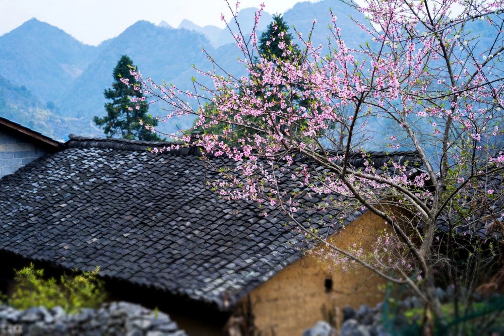 Tour du lịch vòng cung Đông Bắc 5 ngày 4 đêm | Hà Giang - Cao Bằng - Bắc Cạn Cao nguyên đá Đồng Văn | Greenmilestravel.com tour-du-lich-vong-cung-dong-bac-5-ngay-4-dem-ha-giang-cao-bang-bac-can-cao-nguyen-da-dong-van