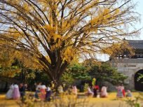 tour-du-lich-han-quoc-5-ngay-4-dem-seoul-dao-nami-cung-dien-kyeongbok