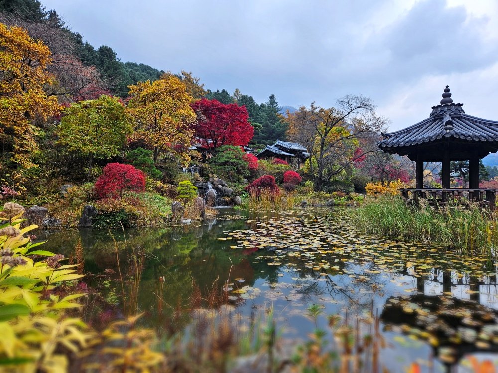 tour-du-lich-han-quoc-5-ngay-4-dem-seoul-dao-nami-hinh-thuc-te