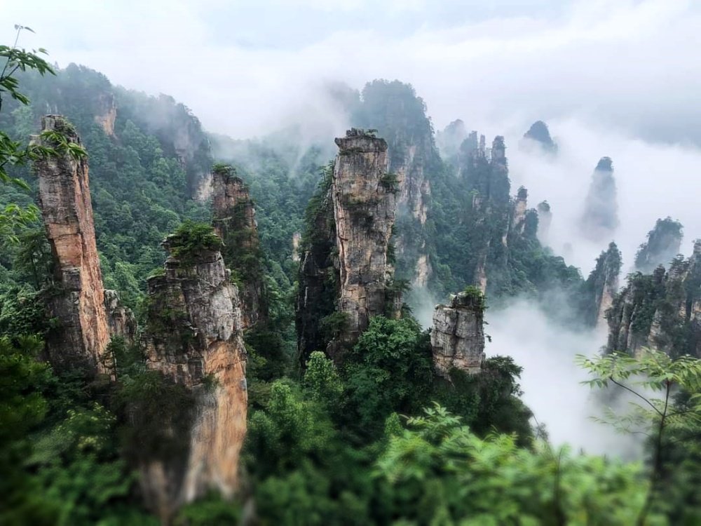 Tour Du Lich Truong Gia Gioi - Phuong Hoang Co Tran 6 Ngay | Trung Quoc tour-du-lich-truong-gia-gioi-phuong-hoang-co-tran-6-ngay-trung-quoc-hinh-thuc-te