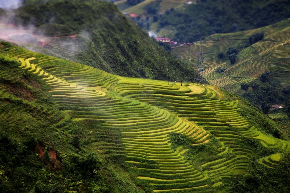 Trails of Vietnam 18-Day Trip | Best Travel Itinerary Sapa | Greenmilestravel.com trails-of-vietnam-18-day-trip-best-travel-itinerary-sapa